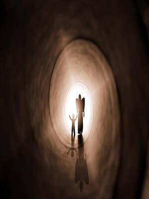 cover image of The Shadow Guardian